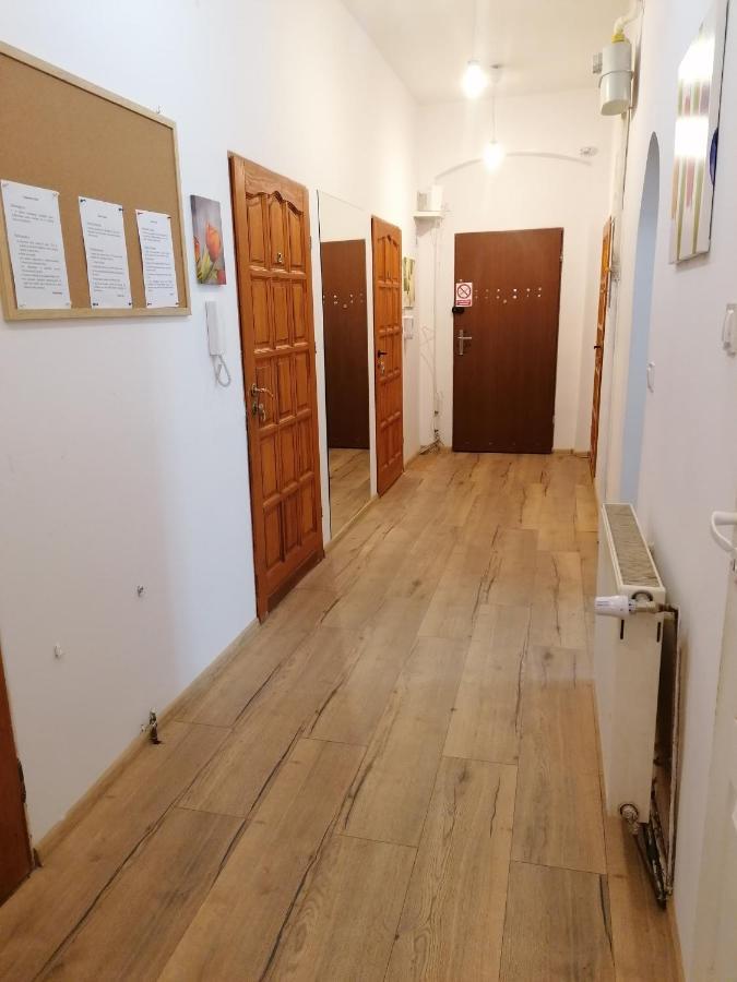 Hostel Tulip - Pokoj Jednoosobowy Nr 3 Ze Wspolna Lazienka I Kuchnia ชเตชชิน ภายนอก รูปภาพ